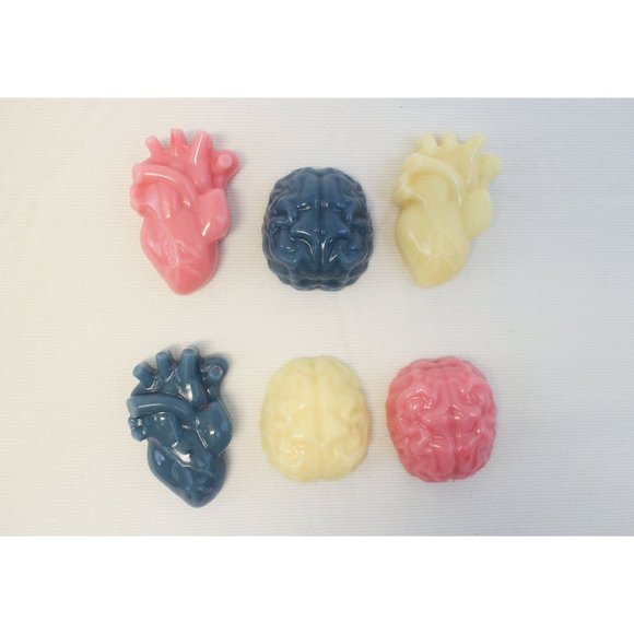 Anatomical Hearts Wax Melts | Skulls & Organs Tarts | Hand Poured - Picture 1 of 4